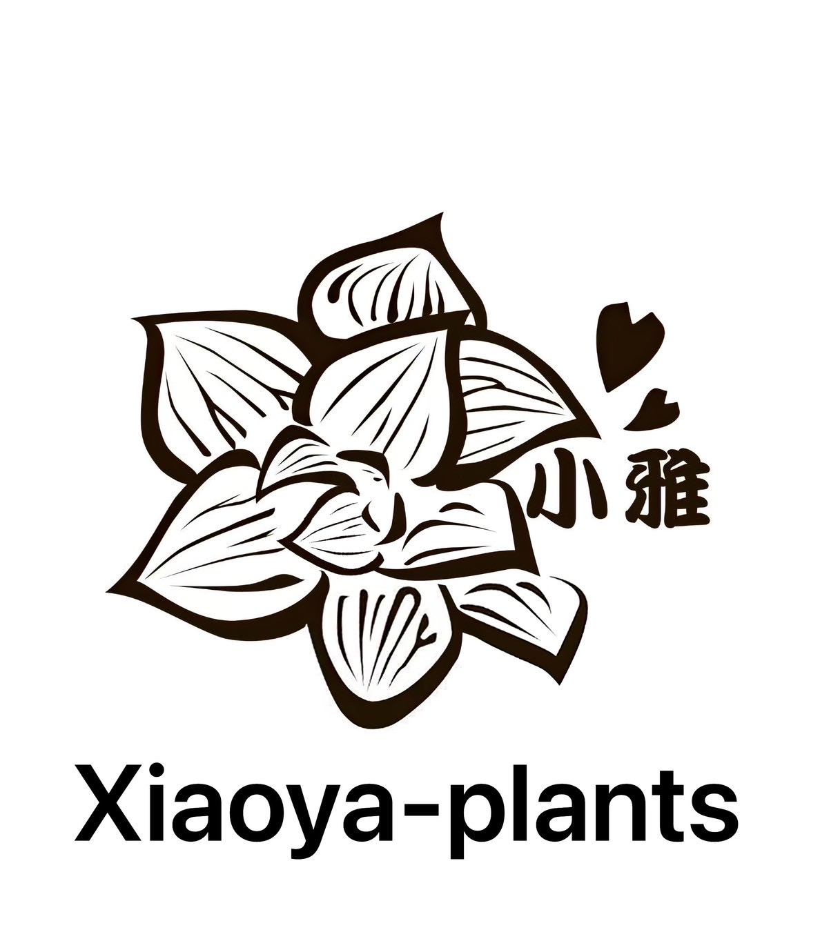 Xiaoya-plants