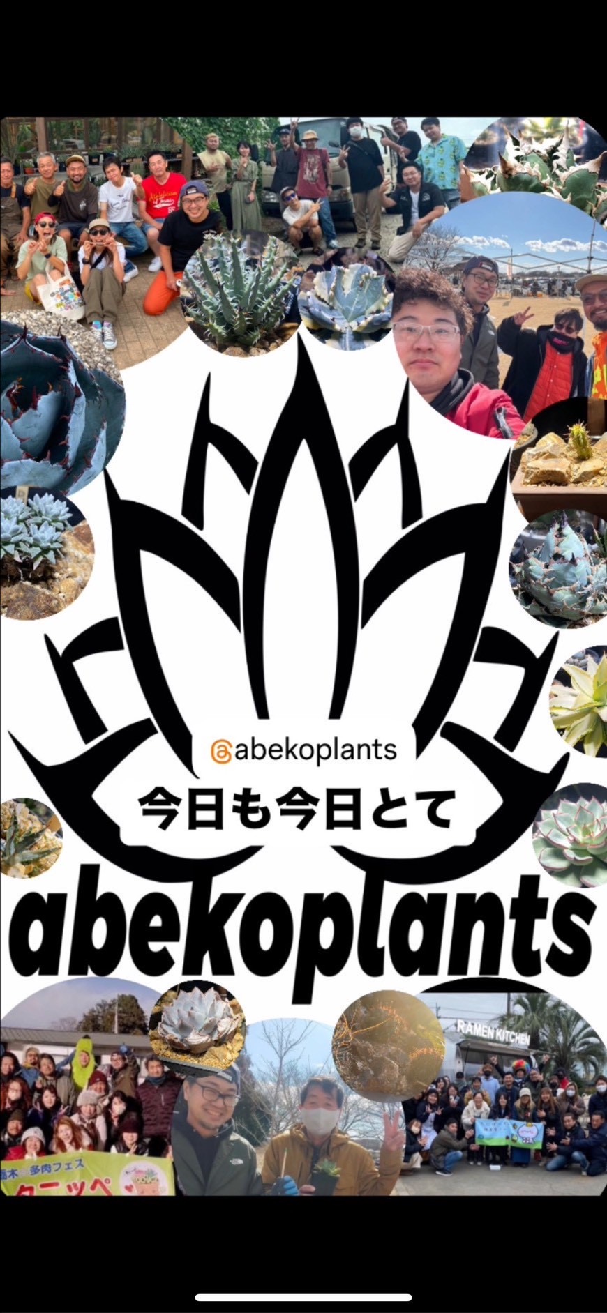 abekoplants