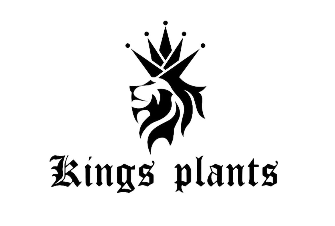 kings plants