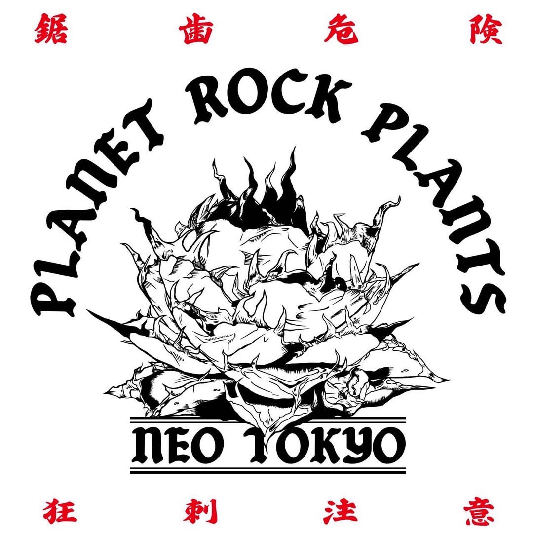 PLANET ROCK PLANTS