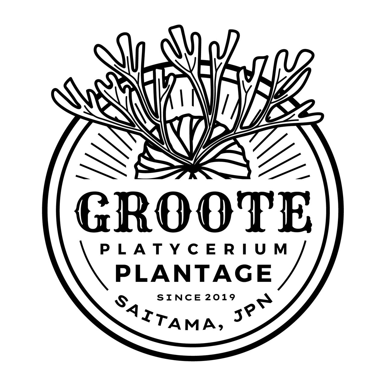 groote plantage