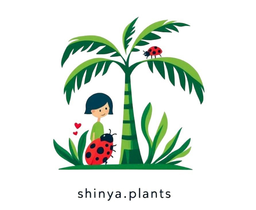 shinya.plants