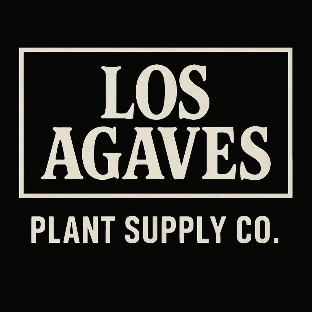 LOS AGAVES