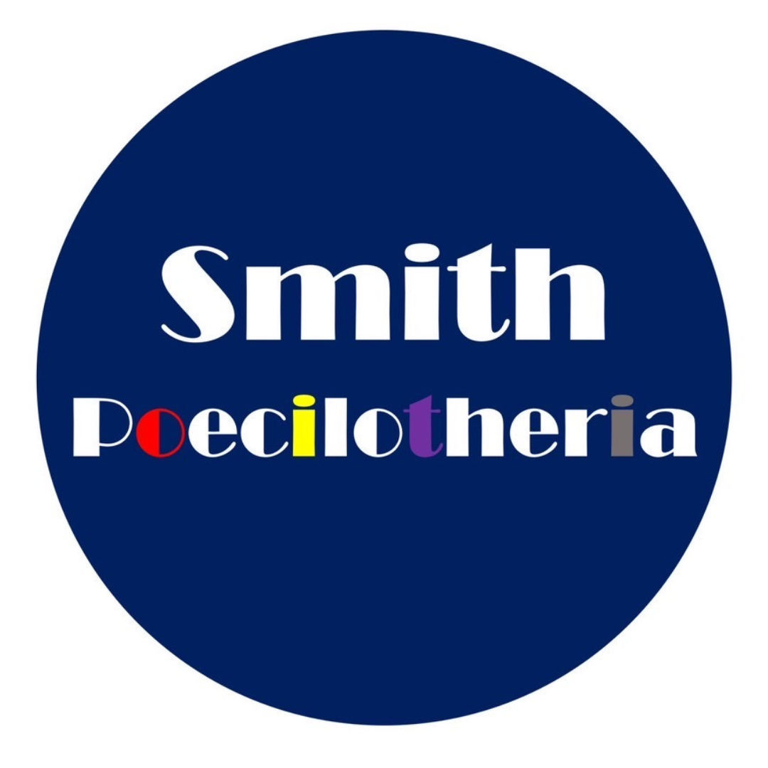 Smith_poecilotheria