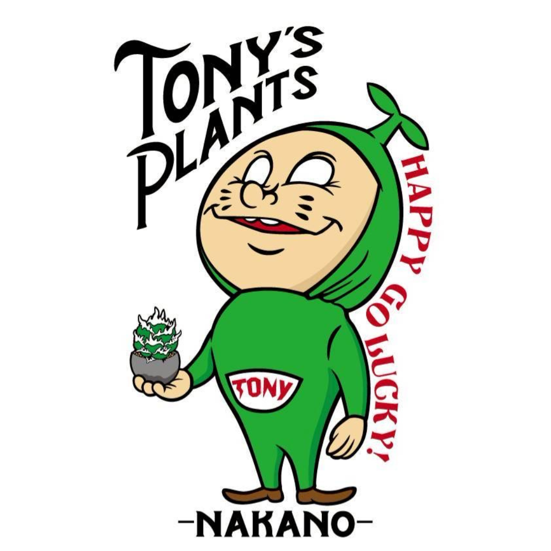 Tony's Plants Nakano