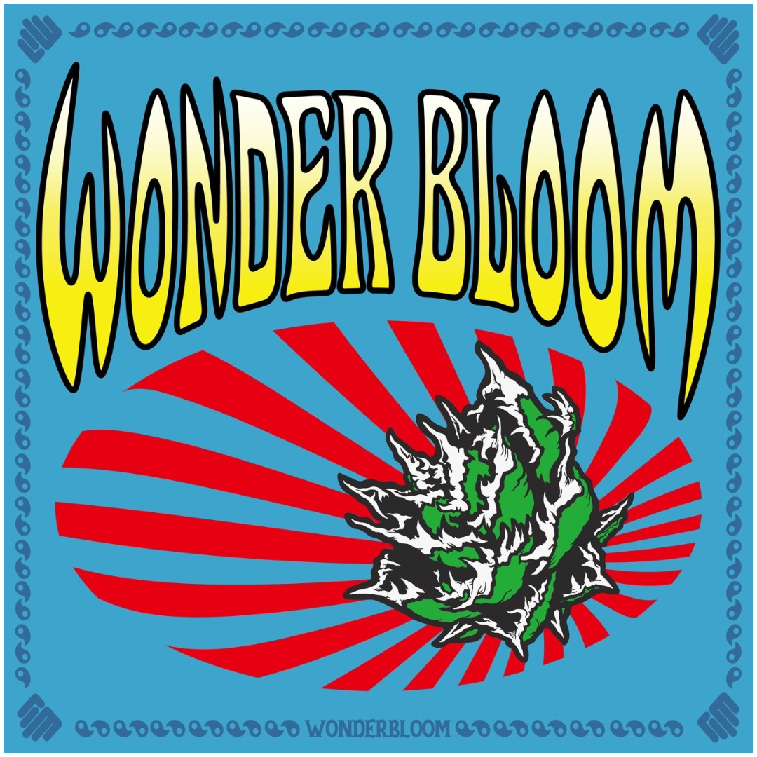 WONDER BLOOM