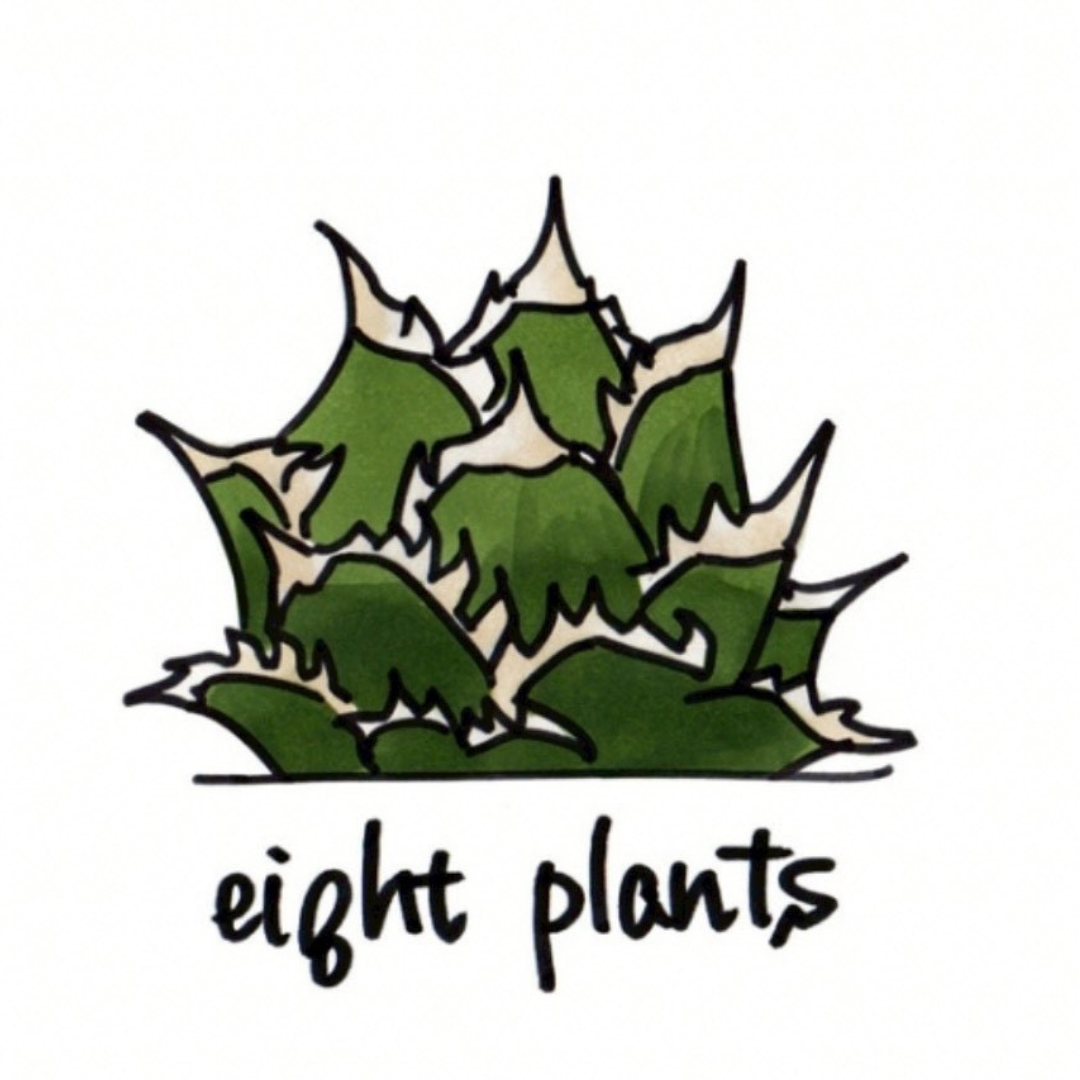 ei8ht plants | Habitat Oides