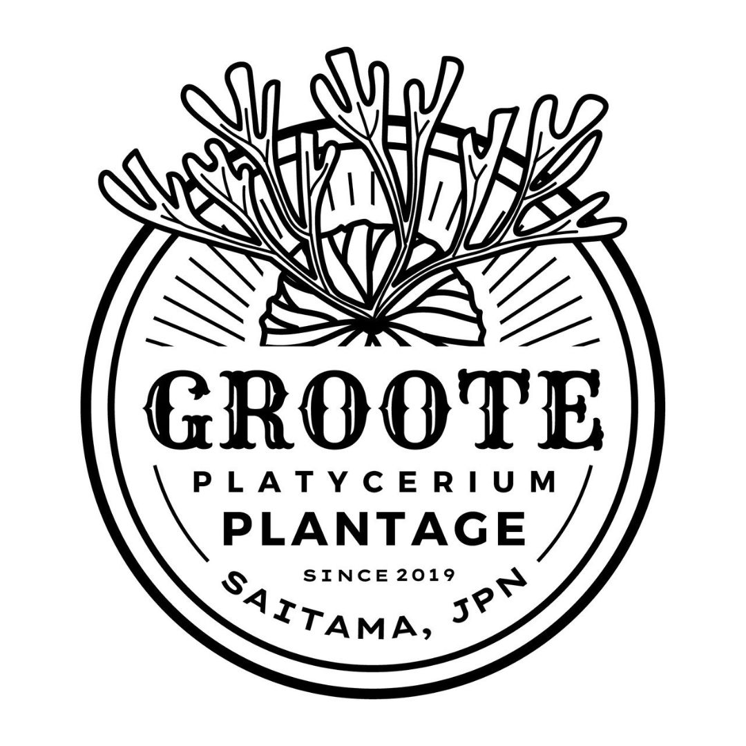 groote plantage