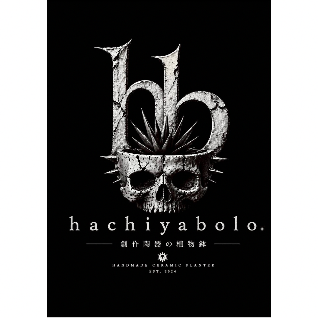 hachiyabolo