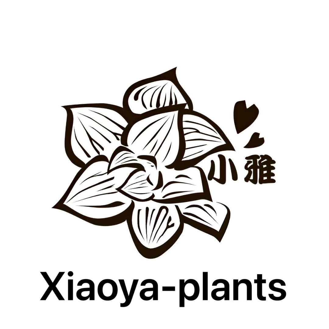xiaoya-plants