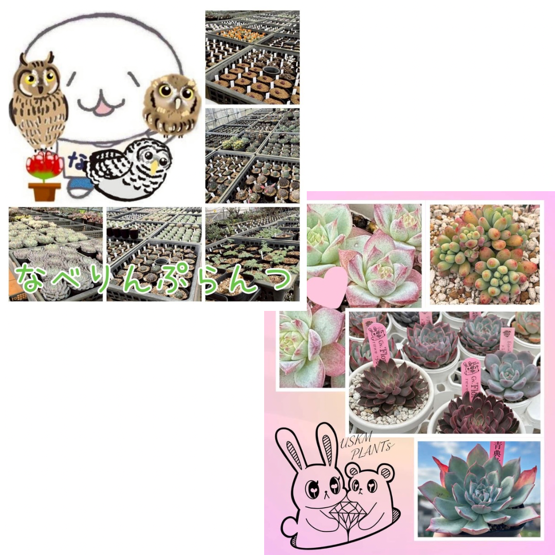なべりん&うさくまーずと愉快な仲間たち